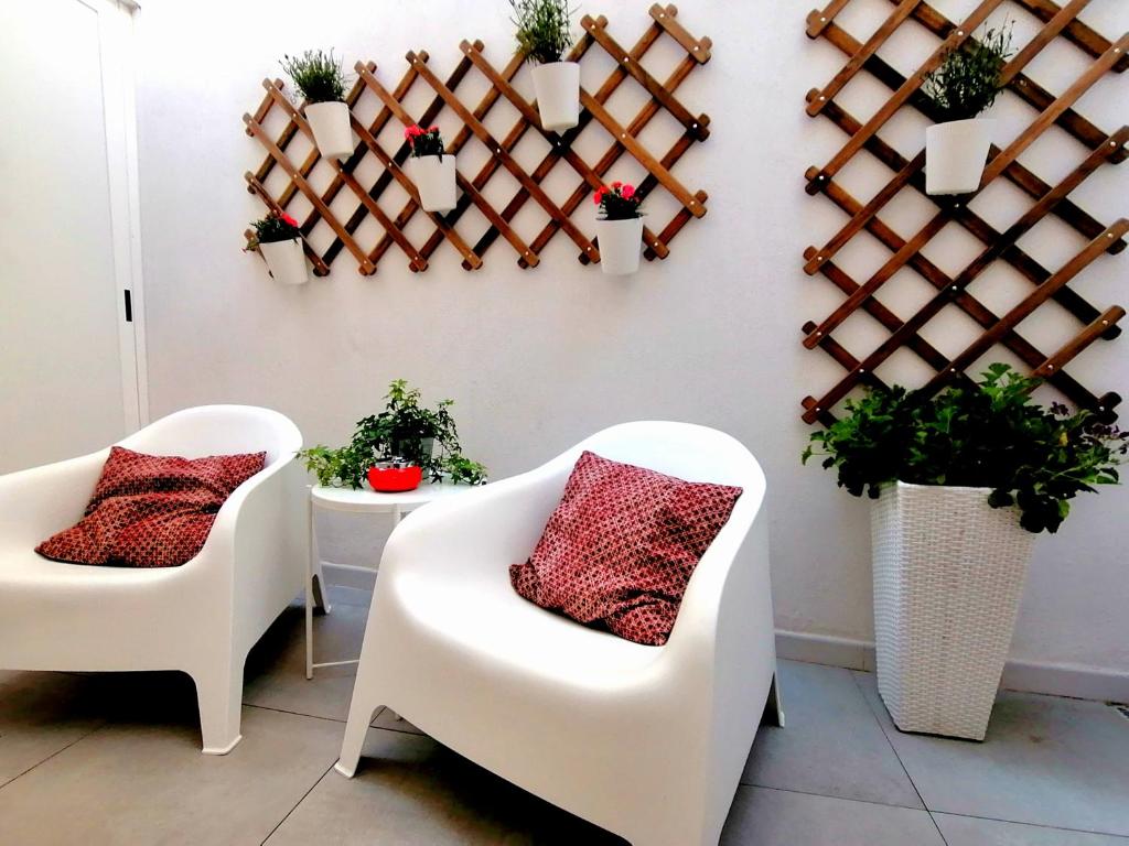 Cardìlle Apartment room 3